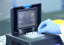 海安縣國(guó)力化工有限公司